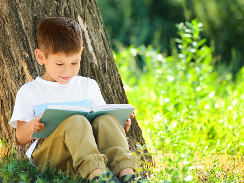 régularité progression apprentissage